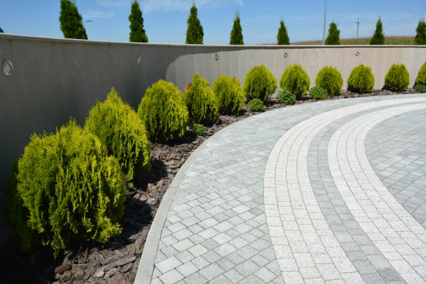 Best Local Driveway Pavers  in Titusville, PA